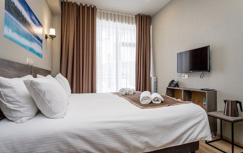 GeoGraphy Hotel 3* (г. Гудаури) / Alliance Hotel 4* (г. Тбилиси)