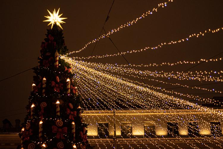 Новогоднее путешествие по следам Романовых: дворцы, сады и тайны 6 дней