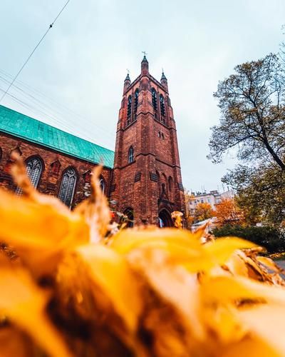 Москва день за днём: главные впечатления 7 дней