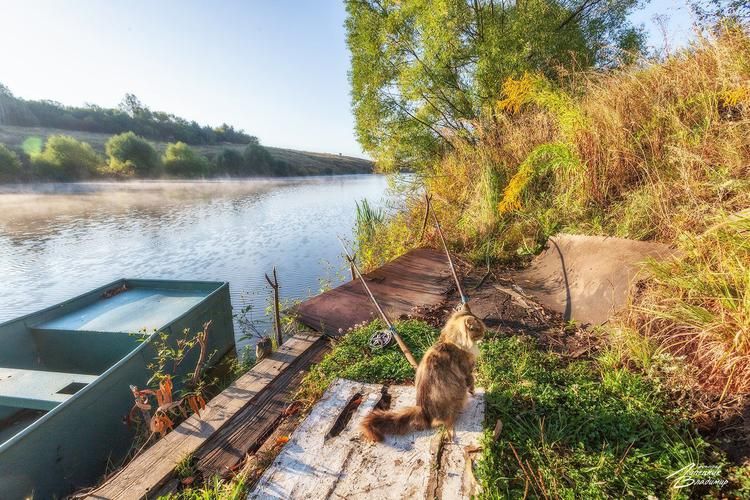 Государева дорога. От Волочка до Петербурга (промо)