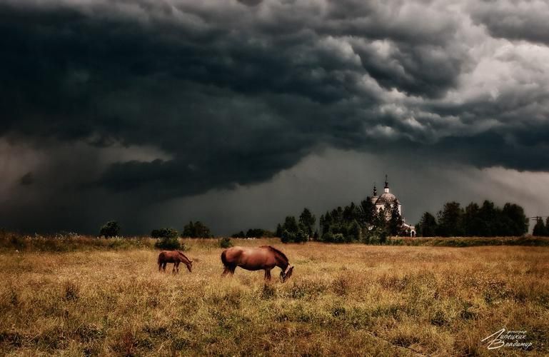 Автобус| Астрахань: осетры, лотосы и ... из Рязани