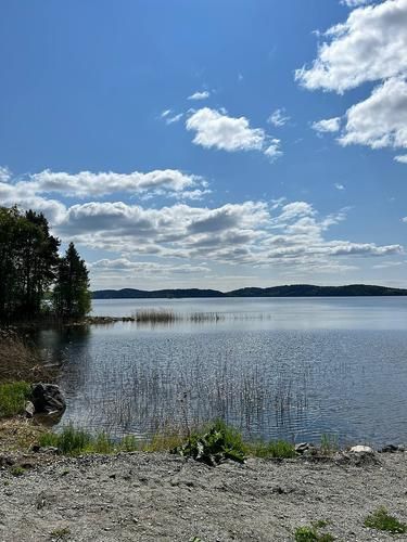 Автобус| Астрахань: осетры, лотосы и ... из Рязани
