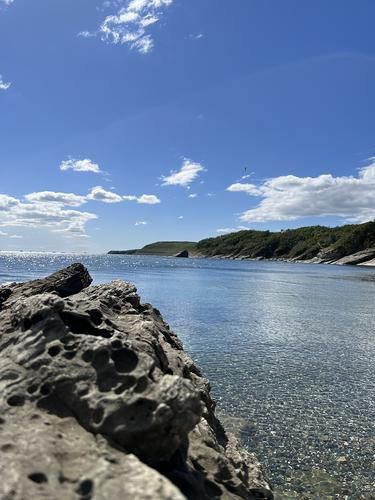 Автобус| Джубга. Гостевой комплекс У винодела из Перми