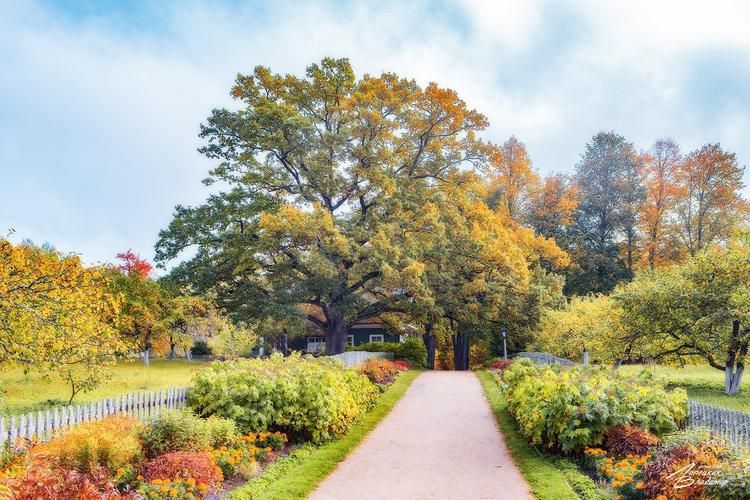 Автобус| Ульяновск: тур в атмосфере традиций и уюта