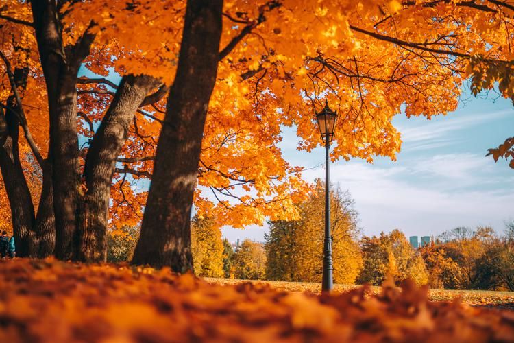 Поезд| Московский уикенд