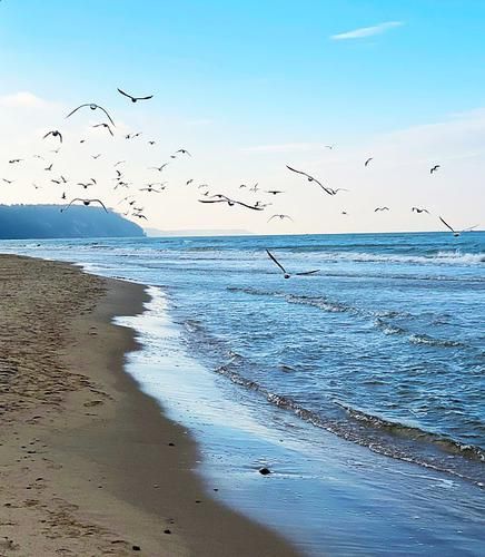 Автобус| Лермонтово. Гостевой дом Анжелика из Перми