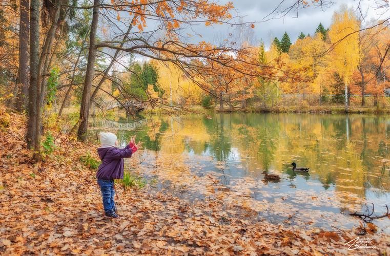 Уют на берегу: отдых на Оке