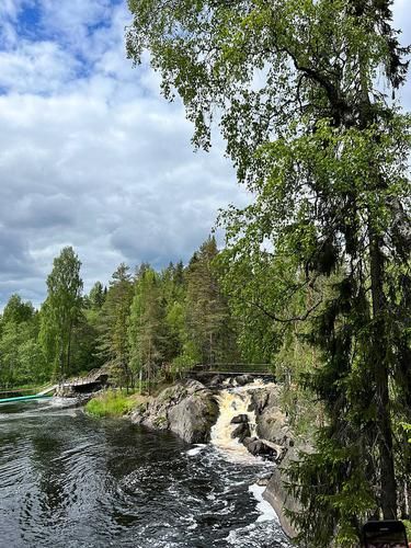 Автобус| Алтай. Цветение маральника из Челябинска
