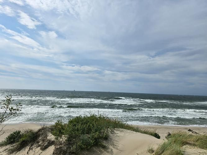 Янтарное Рождество: снег, море и традиции