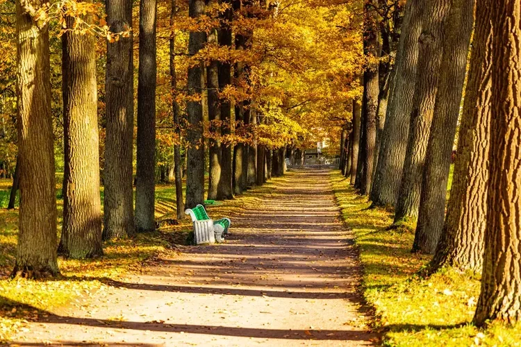 Ворота в прошлое: История и красота Беларуси