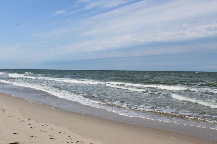 Автобус| Лермонтово. Гостевой комплекс Анютины глазки из Перми