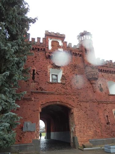 Автобус| Беларусь из Перми