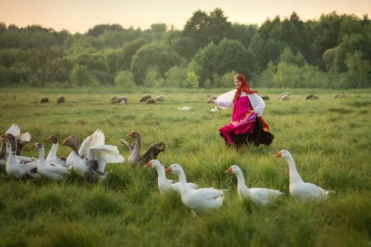 Автобус| Сокровища Селигера