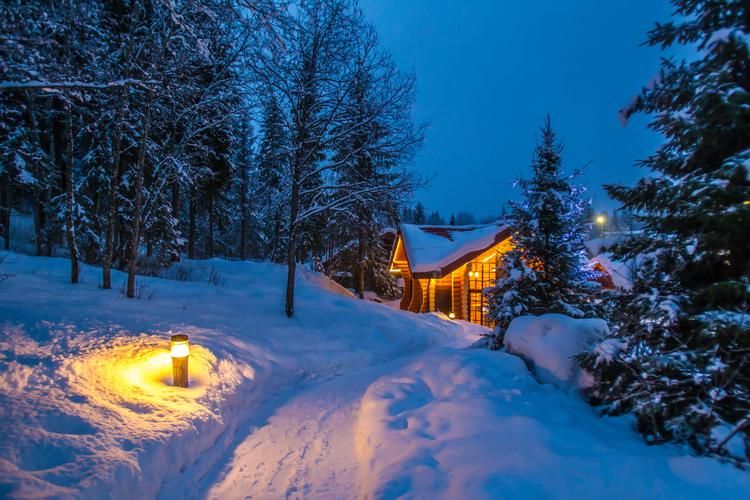 Яркий Новый год: от Петербурга до Карелии