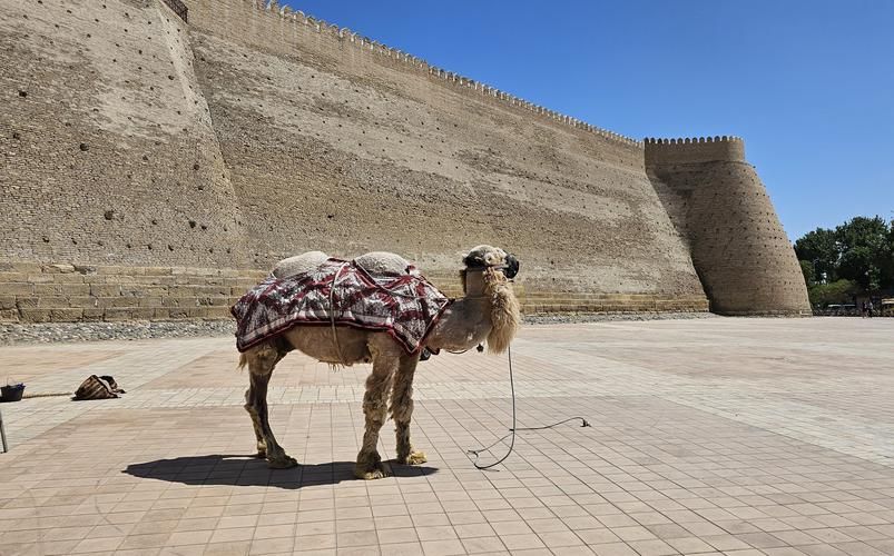 Путь сокровищ: от руин Афрасиаба — к тайнам Согдийских пещер