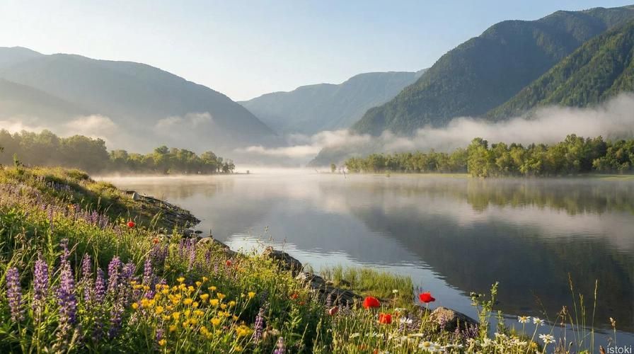 Алтайская осень: очарование Уймонской долины