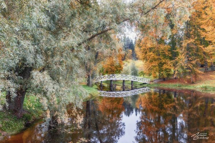 Автобус | Серебряное кольцо: где камень помнит всё