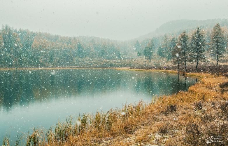 Автобус| Где море поёт, а пузырьки — шепчут сказки из Нижнего Новгорода