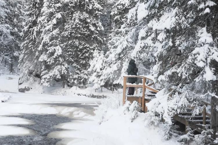 Новогоднее путешествие в Карелию: от Ладоги до викингов