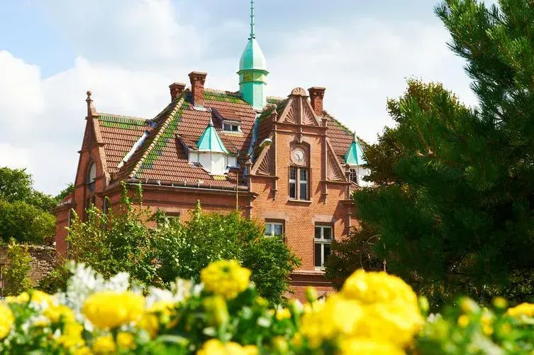 Балтийский экспресс: не тур — а пазл из моря, леса и янтаря. Собери его сам