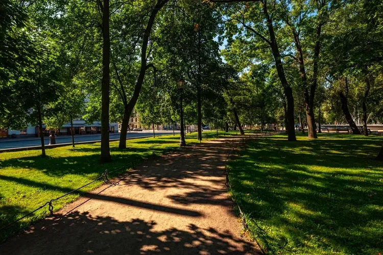 Автобус| Санкт-Петербург + Карелия