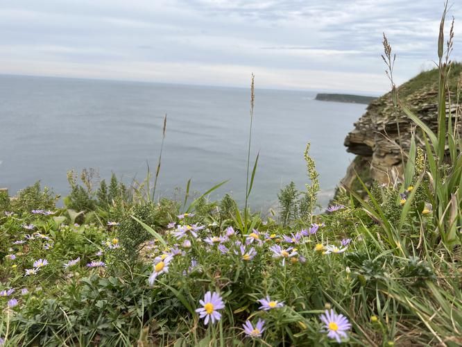 Владивосток VIP