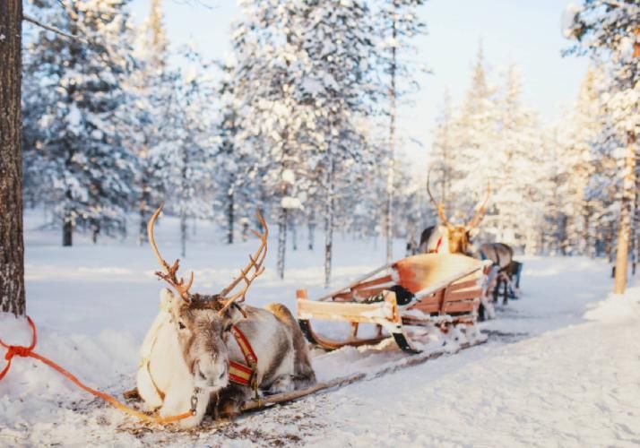 Сказочный Новый год в самой веселой деревне Карелии