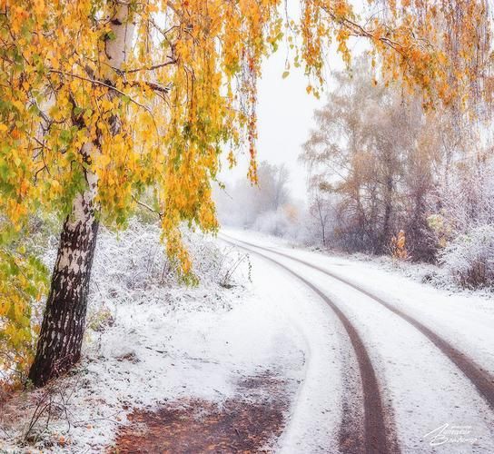 За красотой к двум Гусям (промо)