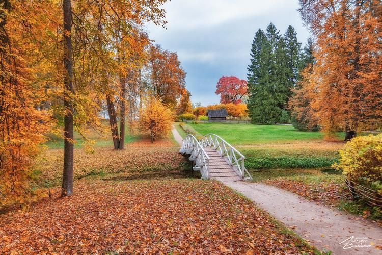 Автобус| Тихие берега Псковской земли