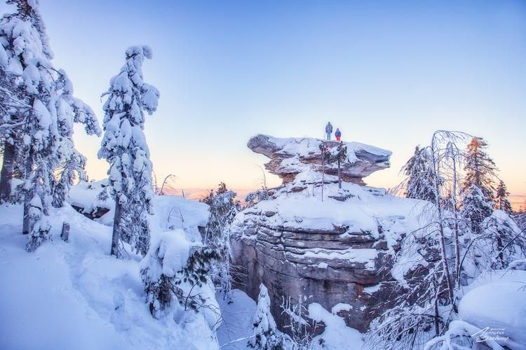 Автобус| Новогодние чудеса на Кудыкиной Горе — для всей семьи
