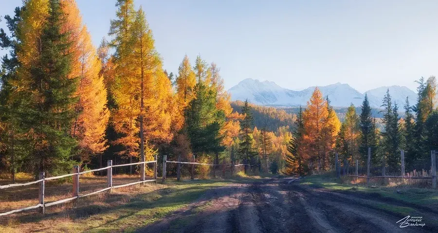 Автобус| Две жемчужины Кавказа
