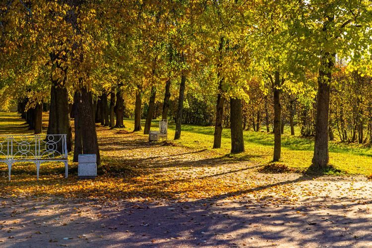 Северная столица 6 дней